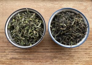 Świeżość i różnorodność zbiorów herbaty z regionu Darjeeling 7_resize
